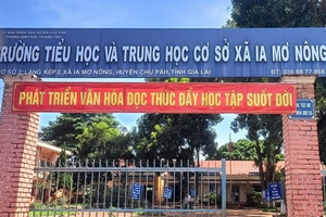 Vụ thầy giáo không có bằng cấp 3 phải thuê người dạy thay: Hiệu trưởng nói gì?