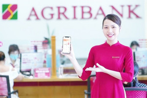 Đến cuối tháng 11/2024, tín dụng của Agribank tăng trên 9%