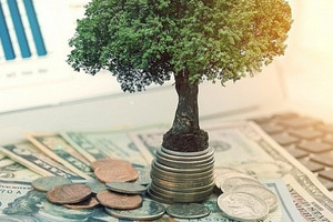 Thêm 6 doanh nghiệp sắp trả cổ tức trên 20% bằng tiền, tâm điểm chi gần 6.900 tỷ đồng