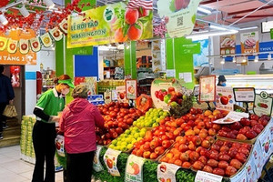Hapro thông báo chương trình kinh doanh phục vụ Tết Nguyên đán Ất Tỵ 2025
