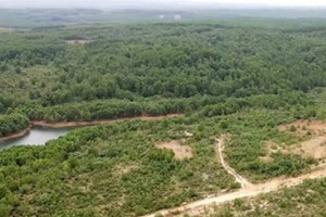 Quảng Trị ra 'tối hậu thư' cho dự án nông nghiệp công nghệ cao 371 tỷ đồng của FLC
