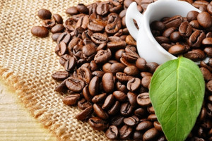 Giá tăng hơn 90%, lần đầu tiên cà phê Việt vượt mốc xuất khẩu 5 tỷ USD