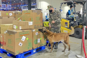 Thu ngân sách từ xử lý vi phạm tăng 242% so với cùng kỳ năm trước