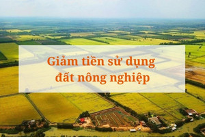 Từ bây giờ, 6 trường hợp sẽ được giảm tiền thuê đất nông nghiệp