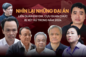 Nhìn lại những đại án liên quan đại gia, cựu quan chức bị xét xử trong năm 2024