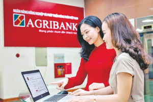 Agribank muốn có cơ chế đặc thù, tăng vốn ít nhất 10.000 tỷ đồng mỗi năm