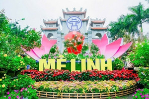 Sắp diễn ra lễ hội hoa lớn nhất miền Bắc tại Mê Linh, Hà Nội