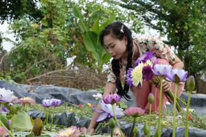 ‘Chị đẹp’ Hậu Giang trồng hoa độc lạ giữa vườn sầu riêng, bất ngờ đổi đời với thu nhập lên đến 60 triệu/tháng