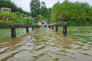 Cây cầu mỗi năm ngập hơn 6 tháng, lãnh đạo đi kiểm tra thì chẳng thấy mặt cầu đâu