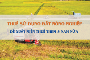 Bộ Tài chính đề xuất kéo dài chính sách miễn thuế sử dụng đất nông nghiệp đến hết năm 2030