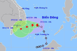 Bão số 10 mạnh cấp 8, từ Phú Yên đến Cà Mau sẵn sàng ứng phó