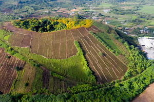 Tỉnh đứng đầu cả nước về trữ lượng bô xít đón danh hiệu Công viên địa chất toàn cầu UNESCO lần hai