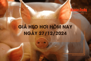 Giá heo hơi hôm nay 27/12: biến động trái chiều