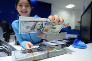 Tỷ giá USD/VND phá đỉnh lịch sử, NHNN bán mạnh USD trước kỳ nghỉ Tết Dương lịch