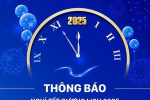 Dịch vụ ngân hàng nào sẽ tạm dừng trong ngày nghỉ Tết Dương lịch 2025?