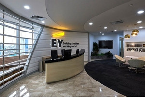 EVNFinance (EVF) chấm dứt hợp đồng kiểm toán với ông lớn Big4 Ernst & Young Việt Nam