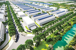 Thủ tướng Chính phủ chấp thuận chủ trương đầu tư khu công nghiệp Hòa Ninh, thành phố Đà Nẵng