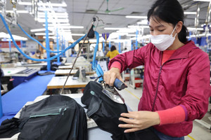 Chuyên gia nhận định về kinh tế Việt Nam 2025