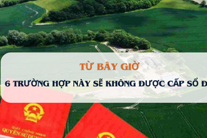 Từ bây giờ, 6 trường hợp này sẽ không được cấp sổ đỏ