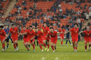 AFF Cup 2024: VIỆT NAM ĐỨNG TRÊN ĐỈNH CAO ĐÔNG NAM Á!!!