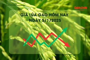 Giá lúa gạo hôm nay 5/1: gạo các loại giảm mạnh