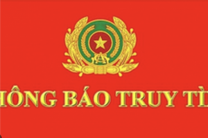 Truy tìm nạn nhân chuyển tiền vào số tài khoản 80000117745 tại MSB mang tên VU PHI HUNG