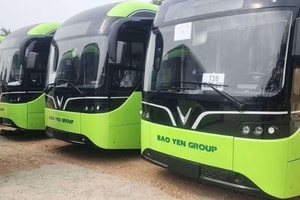 Bảo Yến Bus sẵn sàng triển khai các tuyến xe buýt điện tại Hà Nội bằng mẫu VinFast Green Bus 8