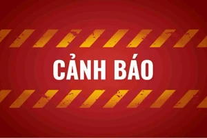 NCB cảnh báo rủi ro: Nguy cơ mất trắng tiền trong thẻ tín dụng