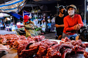 Giá thịt lợn vọt lên đỉnh, hàng lậu đổ về chợ Việt, cảnh báo lợn ăn ‘chất cấm’