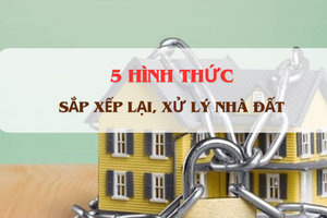 Từ nay, 5 hình thức sắp xếp lại, xử lý nhà đất này chính thức có hiệu lực