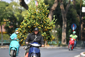 Dự báo thời tiết ngày mai 17/1/2025: Không khí lạnh ảnh hưởng khắp Bắc Bộ