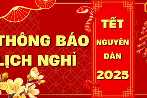 Lịch giải ngân online của Vietcombank, VietinBank, BIDV, Techcombank... dịp Tết Ất Tỵ 2025