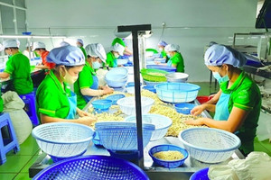 Việt Nam xuất khẩu mặt hàng này tới hơn 90 thị trường quốc tế, vì sao vẫn cần nhập khẩu từ Campuchia?