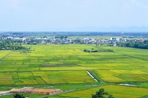 Bộ Tài chính lên tiếng giải trình về việc tiếp tục miễn thuế sử dụng đất nông nghiệp