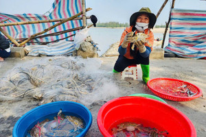 Vươn khơi đầu năm, ngư dân phấn khởi đón ‘lộc trời’