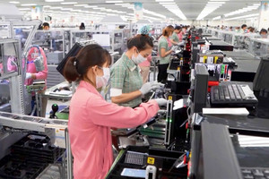 Doanh nghiệp xuất khẩu khai xuân đầy ắp đơn hàng