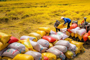 Ôm về 5,7 tỷ USD và bài hát ‘Rock Hạt gạo’