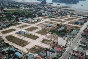 Thị trường đất nền 2025: Nhà đầu tư nên chọn mua ở đâu?