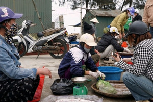 Ngư dân Thanh Hóa kiếm hàng chục triệu/ ngày nhờ đặc sản mềm, ngon