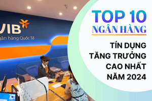 Top 10 ngân hàng tín dụng tăng trưởng cao nhất năm 2024: HDBank dẫn đầu, VIB bám sát Techcombank