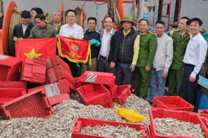 Ngư dân trúng đậm “kho báu” dưới biển thu hàng trăm triệu đồng, được kéo cờ mừng khi lập kỷ lục về sản lượng