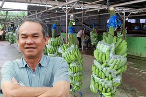 Tập đoàn 'bao trọn' chuối trồng tại Lào của bầu Đức: Là chủ hãng hàng không lớn thứ hai Nhật Bản