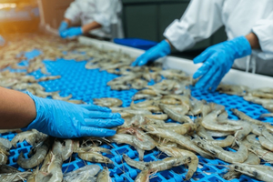 Thủ tướng đề nghị EC sớm gỡ bỏ 'thẻ vàng' IUU đối với thủy hải sản của Việt Nam