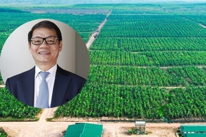 THACO của tỷ phú Trần Bá Dương đề xuất thêm 4 dự án mới tại Quảng Nam