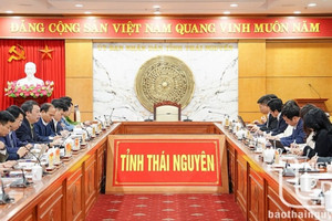 Thái Nguyên làm việc với FPT, đặt mục tiêu đưa cây chè trở thành lĩnh vực tỷ USD