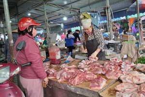 Giá thịt lợn ‘nhảy đồng’, chủ trang trại ở Hải Phòng thừa nhận tình cảnh chăn nuôi hiện tại