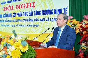 Tín dụng khu vực 5 tăng gần gấp đôi toàn hệ thống: Thái Nguyên, Bắc Ninh dẫn đầu