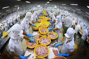 Gần 110.000 tấn thủy sản nguy cơ bị áp thuế gấp 9 lần trước khi cập cảng Mỹ, còn 5 ngày để 'cứu' hơn 400 doanh nghiệp và hàng trăm nghìn hộ nuôi trồng