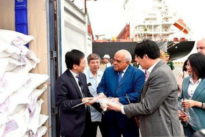 Người đứng đầu Chính phủ Cuba cảm kích Việt Nam vì đã giúp nước này tự chủ nguồn lương thực gạo