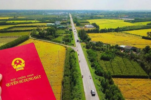 Từ giờ, tự ý chuyển đất trồng lúa sang đất ở tại Hà Nội sẽ bị phạt nặng gấp đôi